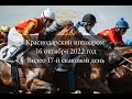 Видео 17 скаковой день   16 10 2022г  Краснодарский ипподром