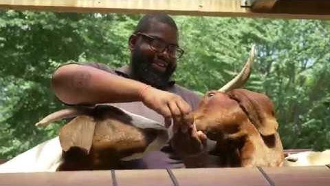 National Zoo Keeper Week | Bronx Zoo