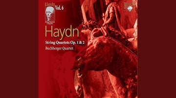 String Quartets, Op. 2, Hob. III:7: I. Allegro