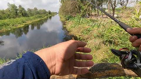 Câu cá lóc u minh thượng bg7 gopro 10