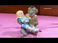 Cutest Baby Monkey Dodo Falls In Love With His New Baby Doll!