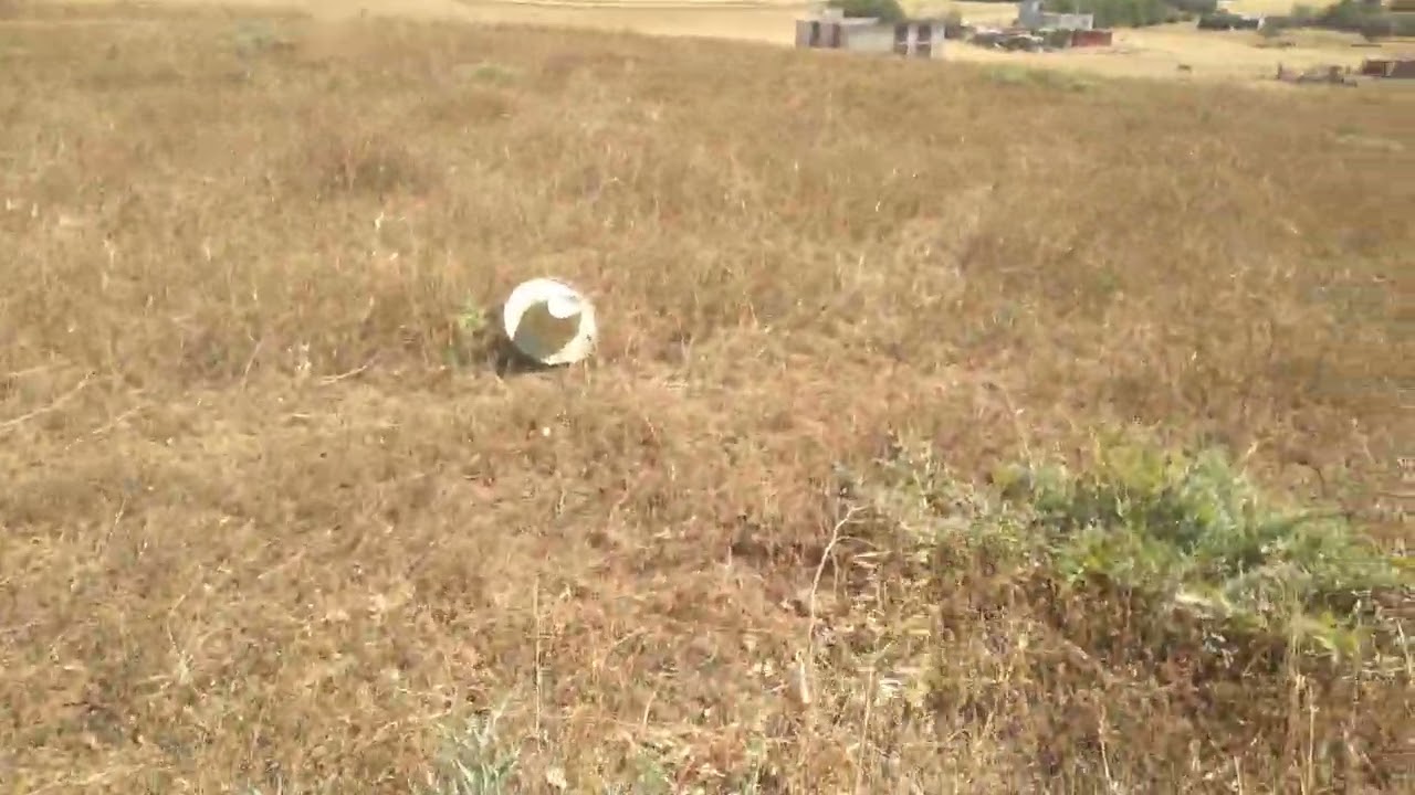 فوق التلة (العامود) الأرض ديالي ان شاء الله ترجع خضراء بالزرع والاشجار بدعمكم وتشجيعكم لي متابعيني .