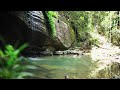 Relax at Buderim Falls, QLD | Soundscape (1 hour)