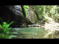 Relax at Buderim Falls, QLD | Soundscape (1 hour)