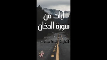 آيات من سورة الدخان للقارئ طلحة محمد