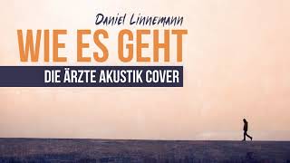 Video thumbnail of "die ärzte - Wie es geht (Akustik Cover)"