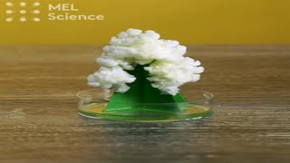 Christmas Tree Science Experiment #shorts
