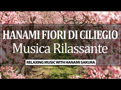 Video: Come Ho Imparato Ad Amare Hanami, L'arte Giapponese Di Osservare I Fiori