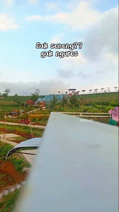 wisata sawah lungguh