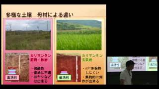 京都大学全学共通科目「環境農学論」渡邊哲弘（陸域生態系管理）2011年7月8日