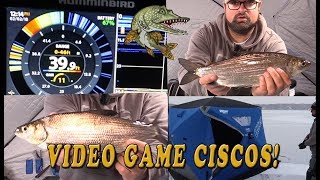 CRUSHING CISCOS! It's like a VIDEO GAME!! screenshot 3