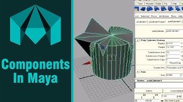Maya Tutorial For Beginners | Learn About Using Components In Maya | Digital Teacher