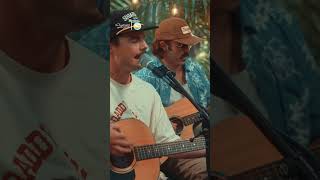 Twin Fins raw sound is everything 🌊🎸 #livemusic #acoustic