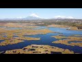 Разведка с воздуха обстановки на р. Широкая. Говорят корюшка и навага пошли, 26 сентября 2020 года