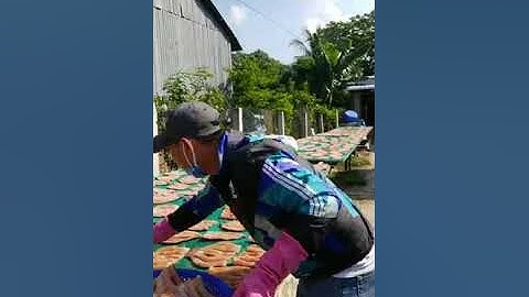 Giá 1kg khô cá lóc bao nhiêu tiền? mua khô cá lóc ở đâu ngon sạch giá sỉ?