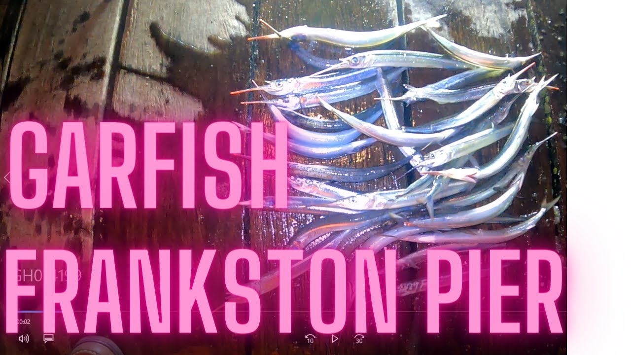 FISHING FOR GARFISH IN FRANKSTON PIER VIC. YouTube