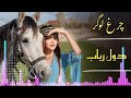 چرغ لوگر دول رباب امتو شوقی مجلسی گوش کنید لذت ببرید