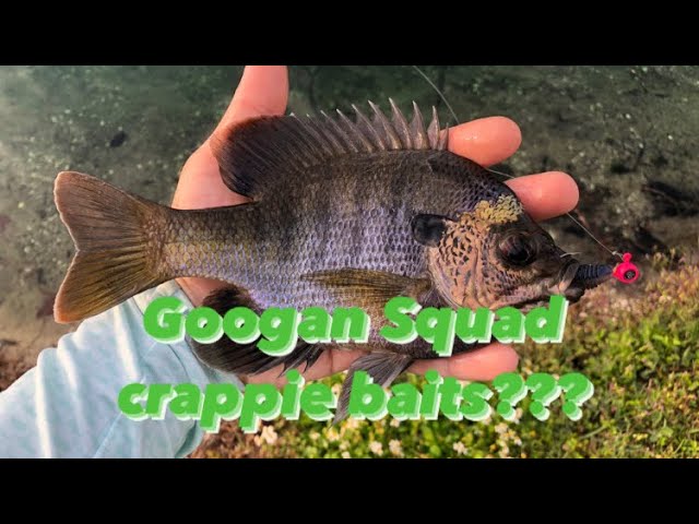 MULTI-SPECIES Ultralight Fishing Super Clear Water/Googan crappie baits