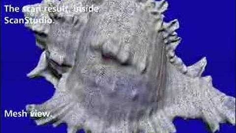 NextEngine 3D Laser Scan of Shell
