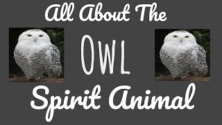 THE OWL SPIRITThe Owl as your Spirit Animal & its Symbolism