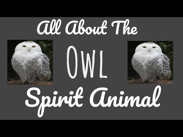 Owl Totem Meaning (Spirit Animal) - Sanctuary Everlasting