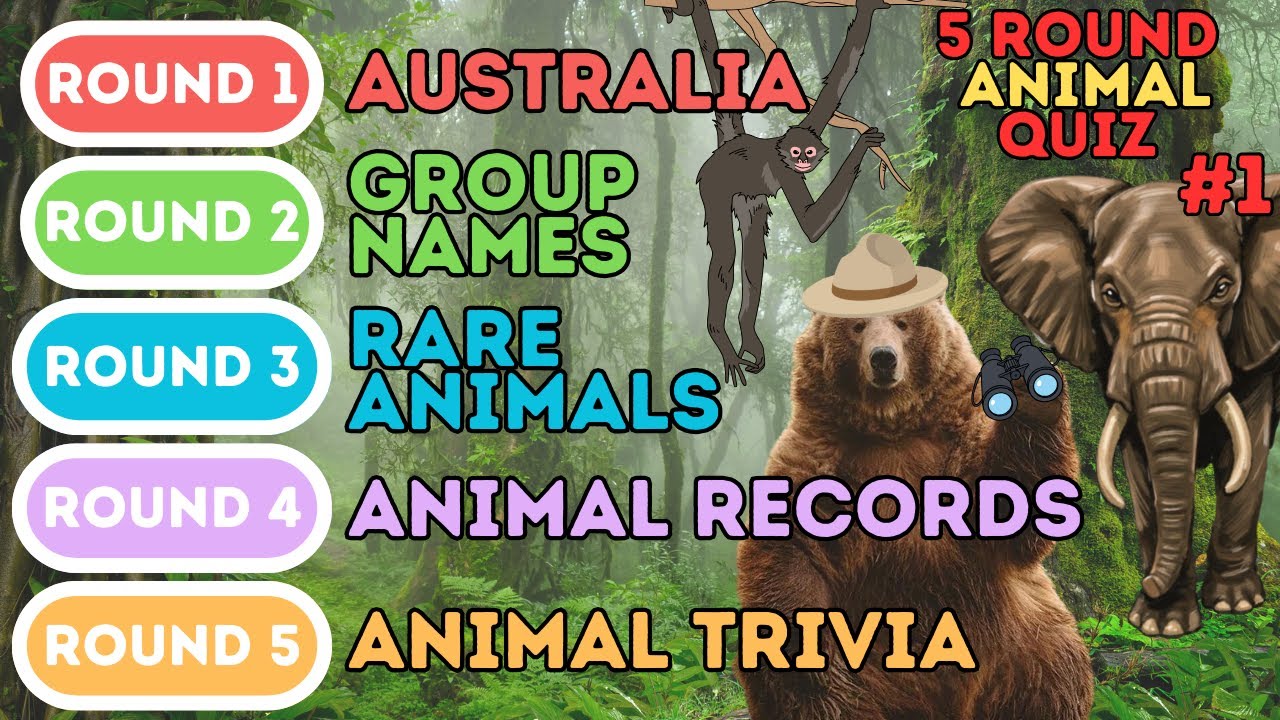 Викторина о животных из 5 раундов | Австралия, группы, рекорды, редкие животные и интересные факт...