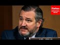 Ted Cruz calls out DC Mayor for insufficient security before Capitol Insurrection