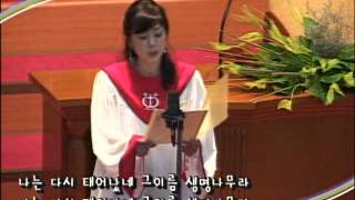 대구동신교회-20070708-생명나무-최미경권사