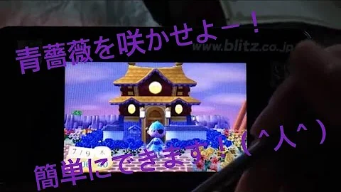 とび森 青いバラ 作り方