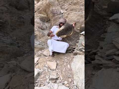 عسل سمر البرم 2022 5 الحمدلله على الخير والنعمه اذكرو الله عسل سالم بن غاصب نحل جبلي حر