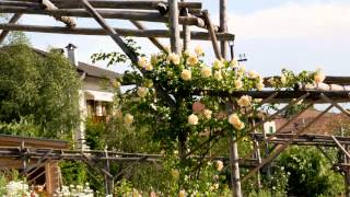Il giardino della rosa a Ronzone Val di Non (TN) 1084 m. slm
