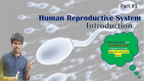 Human reproductive system  Part #1 /Introduction / Rajesh Biology
