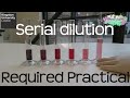 Mastering Serial Dilution Techniques in Biology and Chemistry
