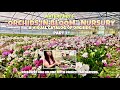 Part 1 visit to a very orchid abundant nursery bonus one on one educational tips with pam waters