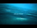 Vidéo: Naissance dans l'océan !!