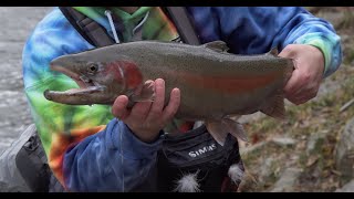 CENTERPINS: NOT JUST FOR STEELHEAD AND SALMON - by Danny Colville