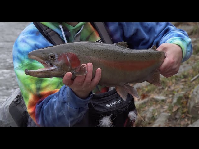 Salmon and Steelhead Centerpin Float Fishing Tackle from Blood Run