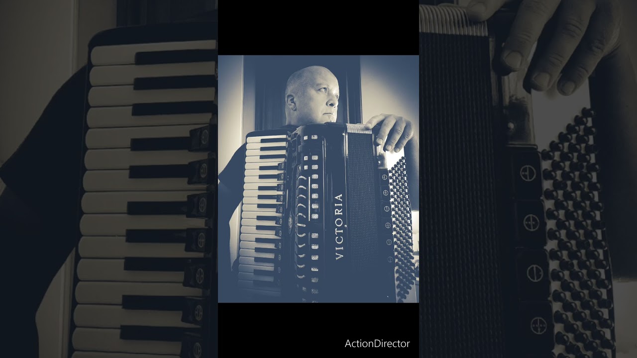 Tu sì na cosa grande - Fisarmonica Alex Alberti