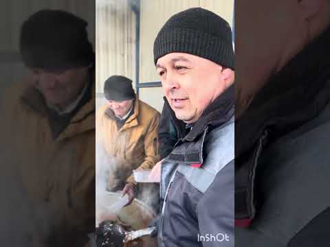 Сегодня как вчера#ислам#islam