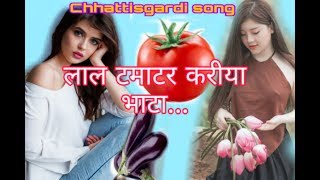 New CG song //Lal Tamatar Kariya Bhata...  लाल टमाटर करीया भाटा ...