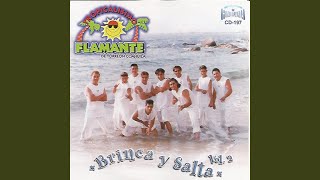 El Meneaito - Tropicalisimo Flamante