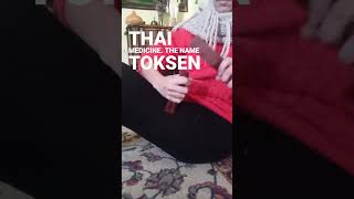Download Lagu Tok Sen DIY - Hammer massage!  #massagetherapy #thaimassage MP3 Download Lagu Tok Sen DIY - Hammer massage!  #massagetherapy #thaimassage MP3