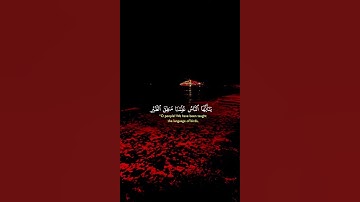 وَلَقَدْ آتَيْنَا دَاوُودَ وَسُلَيْمَانَ عِلْمًا (15) | سورة النمل