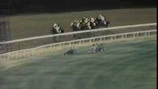 Seattle Slew - The 1977 Belmont Stakes