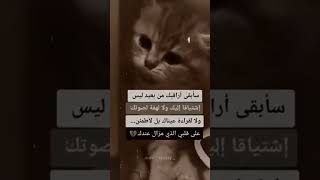 سابقى اراقبك من بعيد حالات واتس