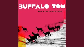 Video thumbnail of "Buffalo Tom - Spider"
