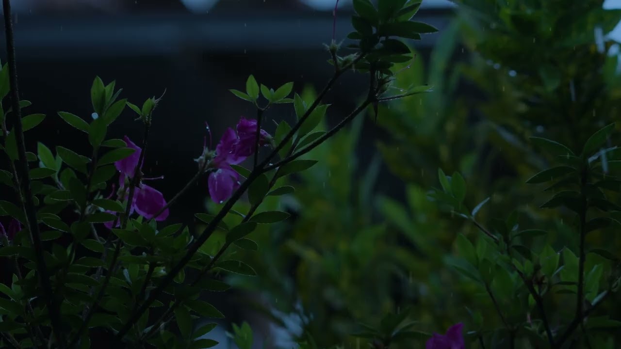 Rain Ambience Piano Guitar Relaxing Music | Sleep Therapy & Healing