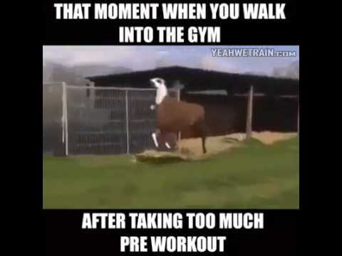 pre workout llama youtube