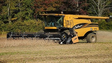 Soybean Harvest 2021