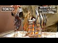 恵比寿の炉端焼き・原始焼きの専門店 - 俺の炉ばた 恵比寿 -【東京】